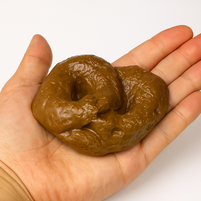 Fake poo prank prop – realistic novelty gag toy for funny jokes and parties – Lowkey.co.nz New Zealand gift store
