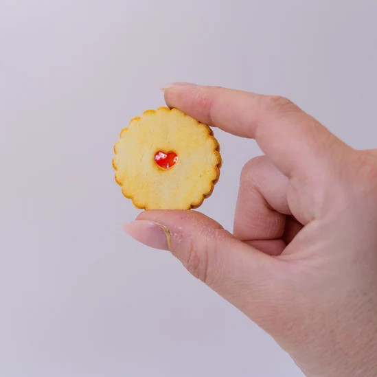 Shrewsbury Biscuit fridge magnet